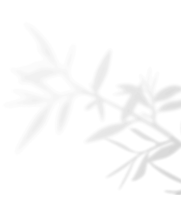 https://plaisir-dimages.com/wp-content/uploads/2020/11/shadow_leaves_04.png