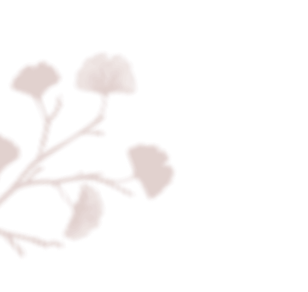 https://plaisir-dimages.com/wp-content/uploads/2020/12/floating_image_01.png