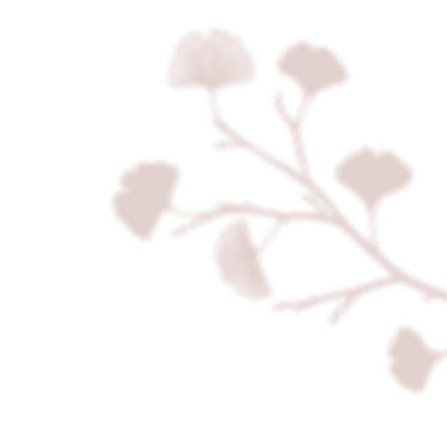 https://plaisir-dimages.com/wp-content/uploads/2020/12/floating_image_02.png