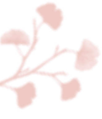 https://plaisir-dimages.com/wp-content/uploads/2020/12/floating_image_03.png