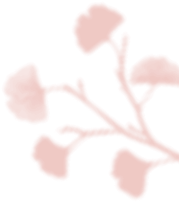 https://plaisir-dimages.com/wp-content/uploads/2020/12/floating_image_04.png