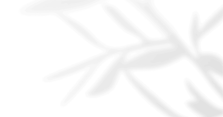 https://plaisir-dimages.com/wp-content/uploads/2020/12/floating_image_05.png