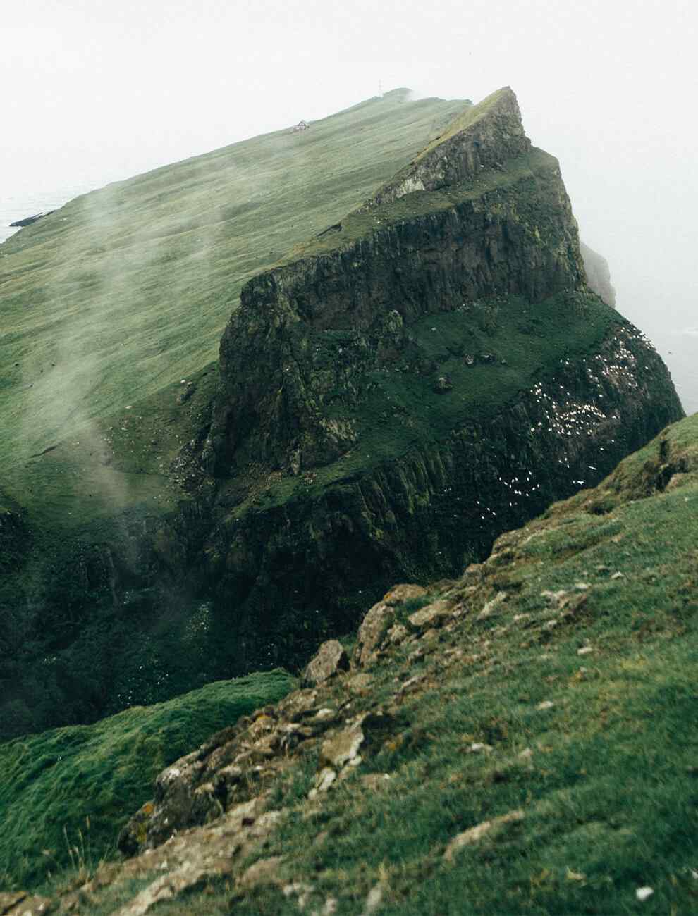 https://plaisir-dimages.com/wp-content/uploads/2020/12/home_04_image_01.jpg