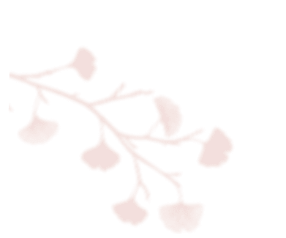 shadow_leaves_06 https://plaisir-dimages.com/wp-content/uploads/2020/12/shadow_leaves_06.png