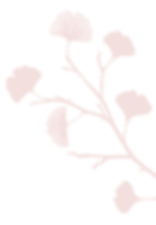 https://plaisir-dimages.com/wp-content/uploads/2020/12/shadow_leaves_07.png