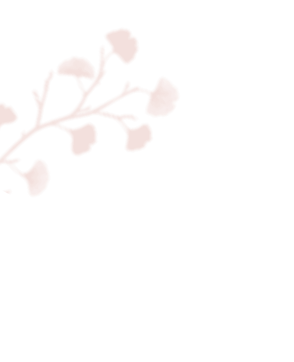 https://plaisir-dimages.com/wp-content/uploads/2020/12/shadow_leaves_inner.png