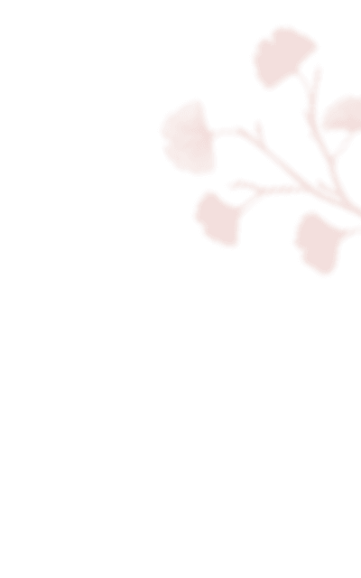 https://plaisir-dimages.com/wp-content/uploads/2021/01/shadow_leaves_inner_2.png