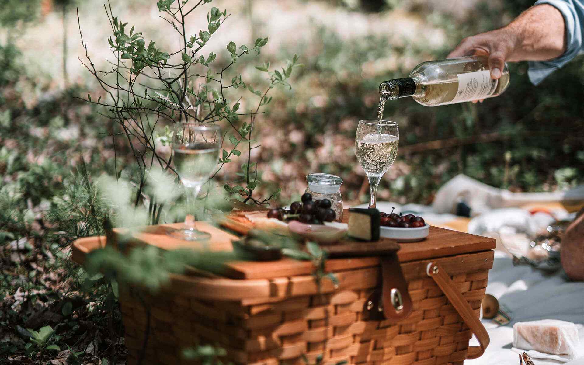 https://plaisir-dimages.com/wp-content/uploads/2021/01/single_story_8.jpg
